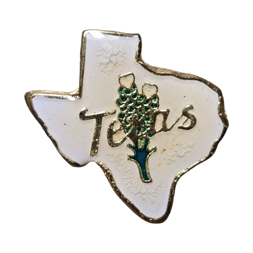 Texas State Outline Bluebonnet Flower Lapel Vest Hat Pin K15